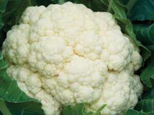 Cauliflower