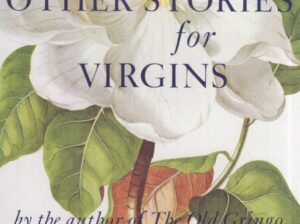 Stories-For-Virgins.