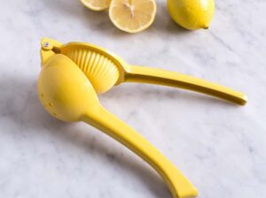 Hand-held-Juicer