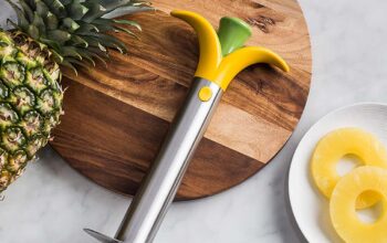 Pineapple-Slicer