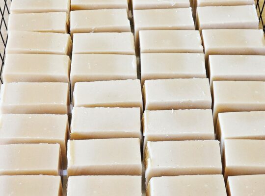 Goat-Milk-Bar-Soap