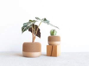 Apple indoor planter