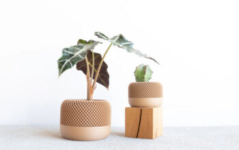 Apple indoor planter