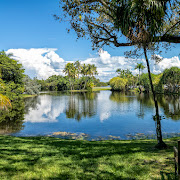 Fairchild-Tropical-Botanical-Garden