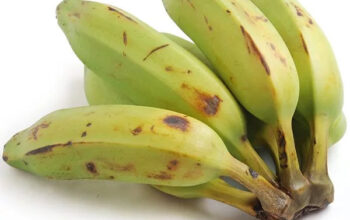 All Natural farm grown platano burno