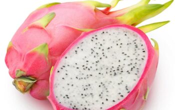 Dragon fruit seed