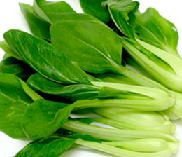 SHANGHAI BOK CHOY