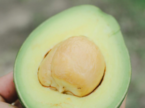 All Natural Avocado