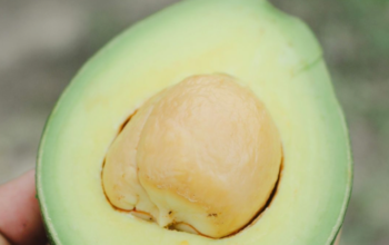 All Natural Avocado