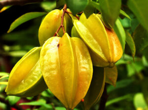 Carambola (Star fruit)