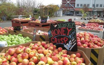 Farmers market