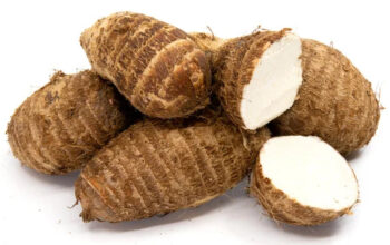 All Natural farm grown malanga.