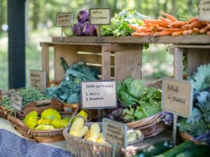 Heirloom and hybrid vegetables, herbs and flowers