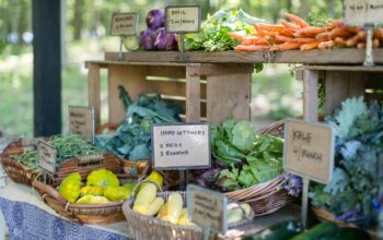 Heirloom and hybrid vegetables, herbs and flowers