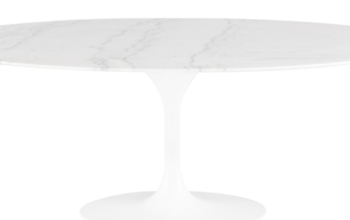 Echo dinning table white marble top/ white base