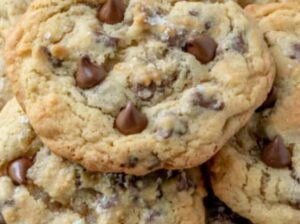 Chocolate chip cookie