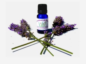 Lavender essential oil