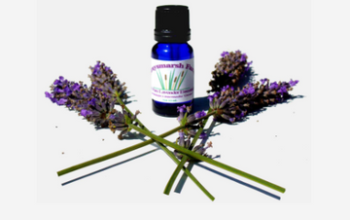 Lavender essential oil