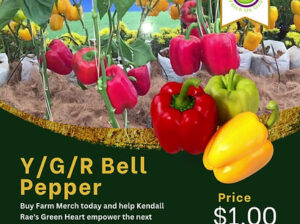 Yellow/Green/Red bell peppers