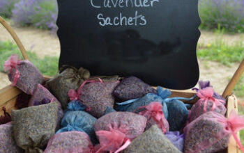 Lavender Sachet